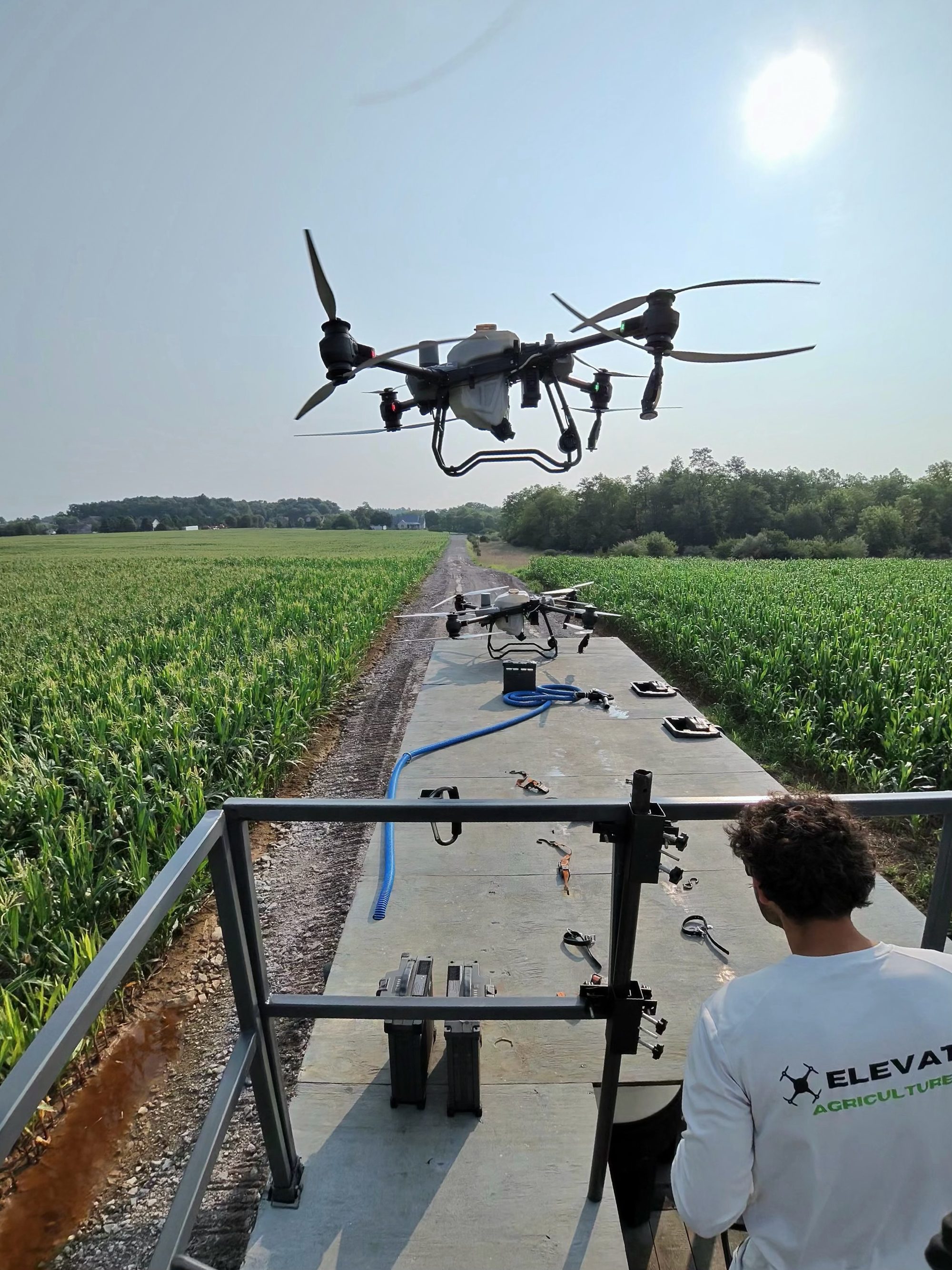 Summer spraying