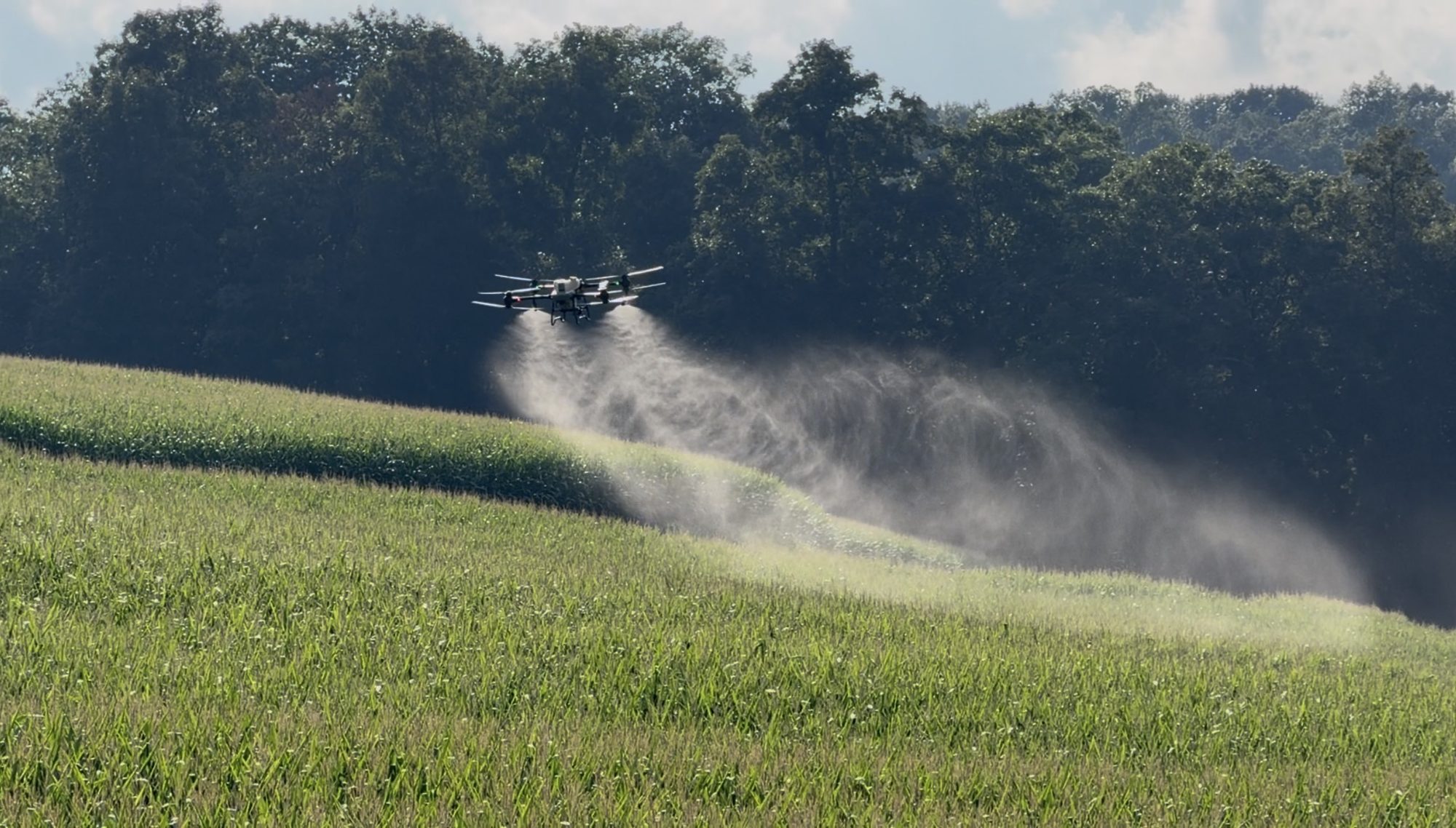 Drone spraying corn on a hillside
