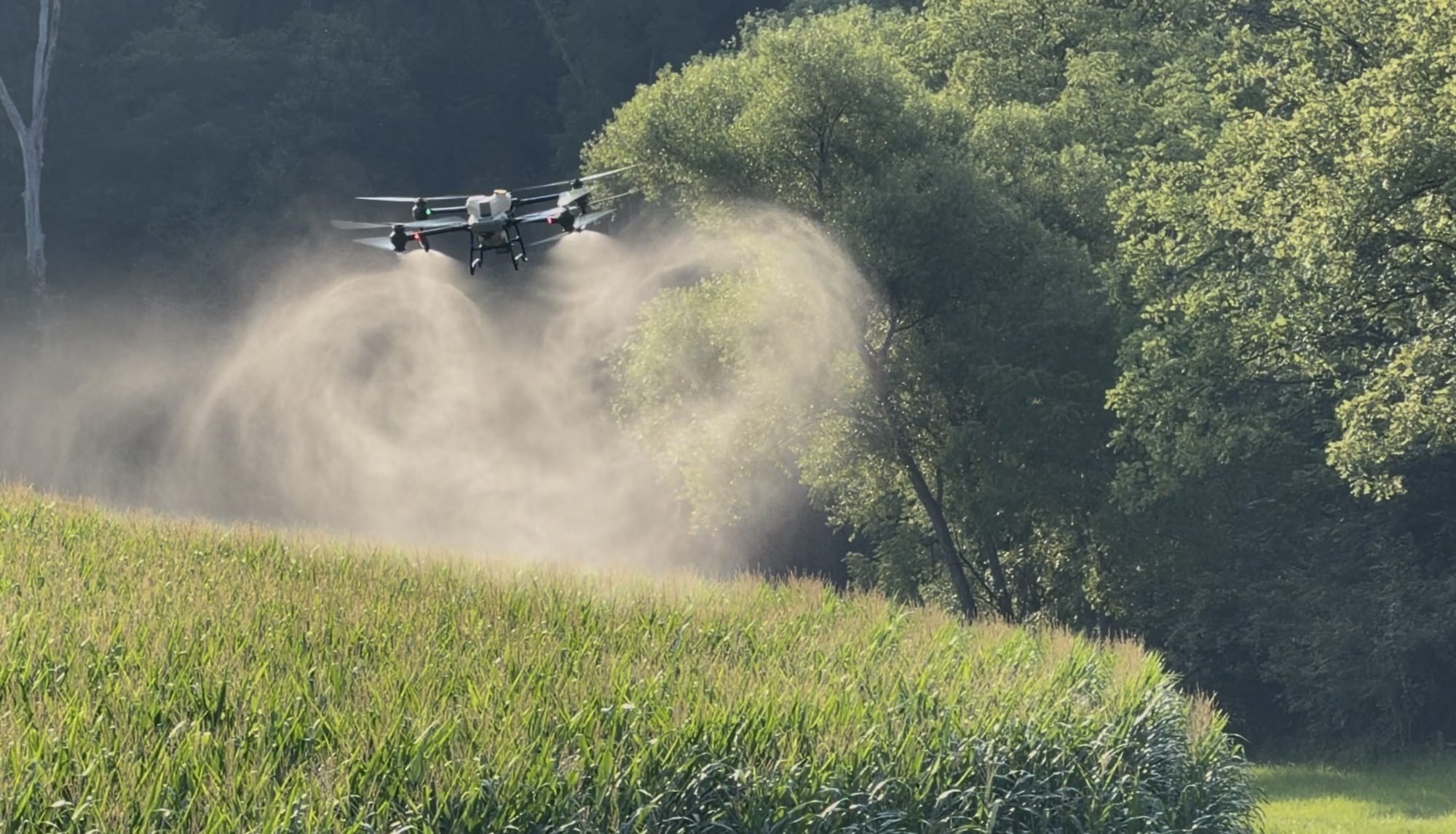 Application over standing corn