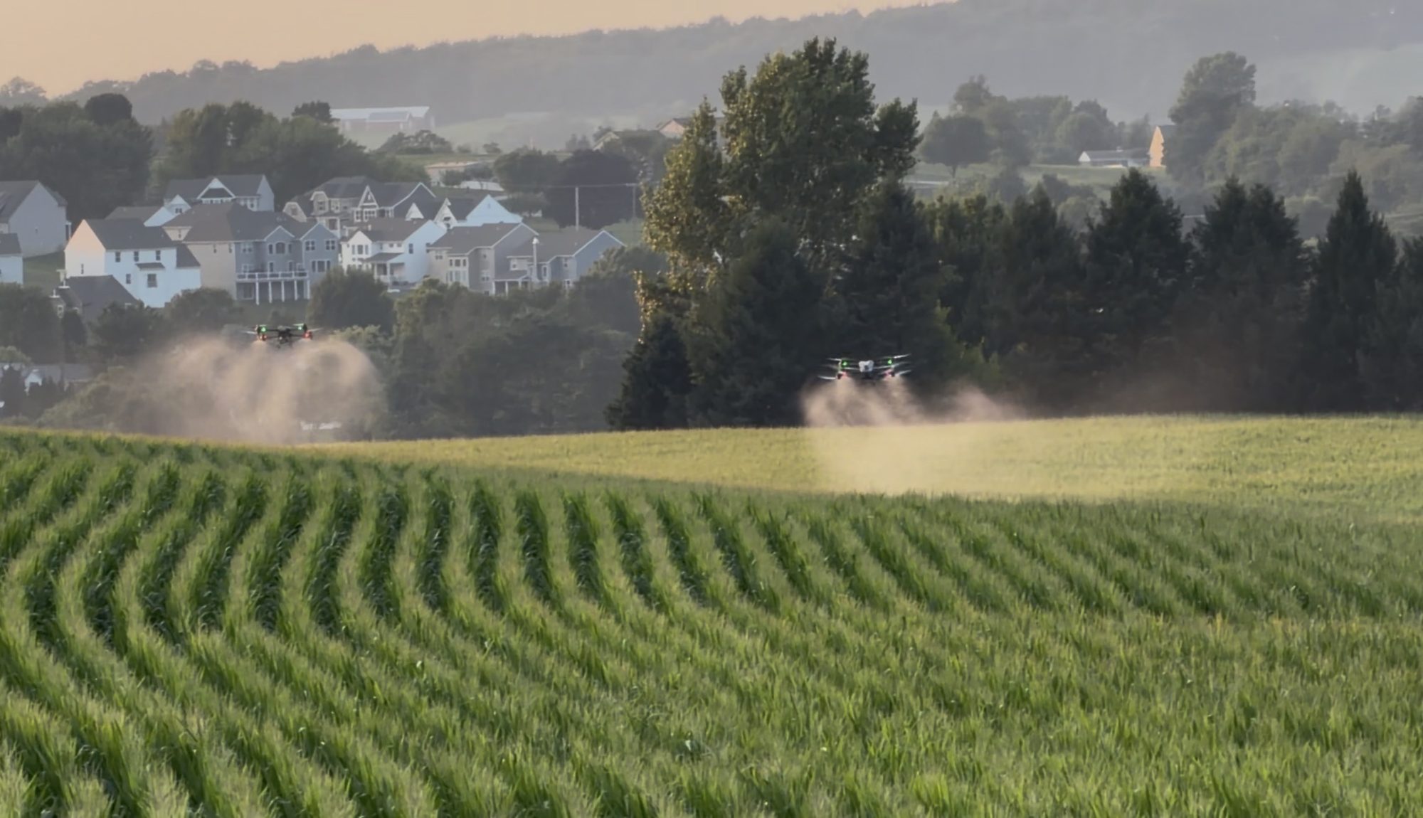 Spray pass at the field edge